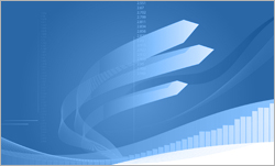 Application Portfolio Management
