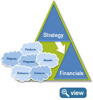 Strategic Investment Priority Matrix