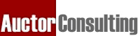 Auctor Consulting