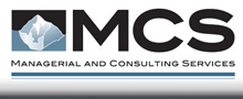 Managerial and Consulting Services
