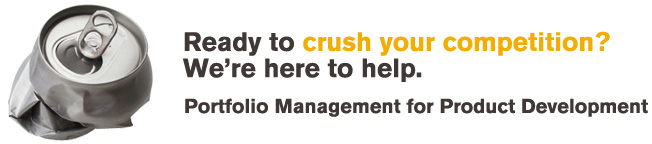 Portfolio Management for Product Development
