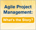 Agile Project Management: What's the Story?