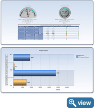 Risk Management Effort Strategy