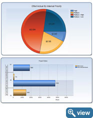 Risk Management Effort Strategy
